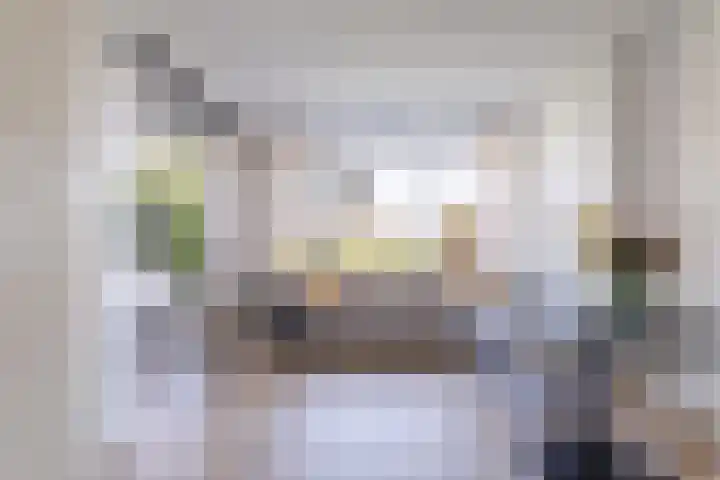 Nijlânsdyk 97 Leeuwarden thumbnail 18