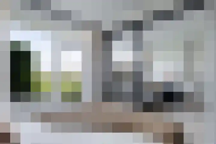 Nijlânsdyk 97 Leeuwarden thumbnail 23