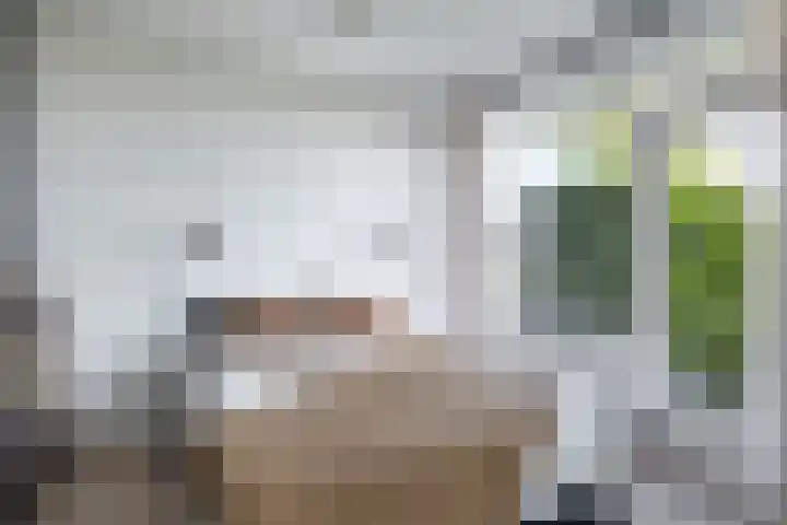 Nijlânsdyk 97 Leeuwarden thumbnail 24