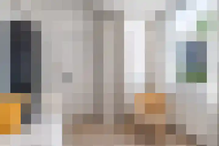 Nijlânsdyk 97 Leeuwarden thumbnail 25