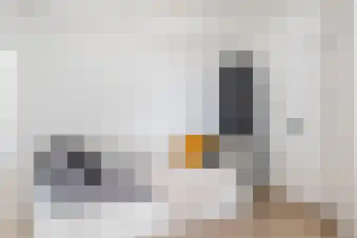 Nijlânsdyk 97 Leeuwarden thumbnail 26