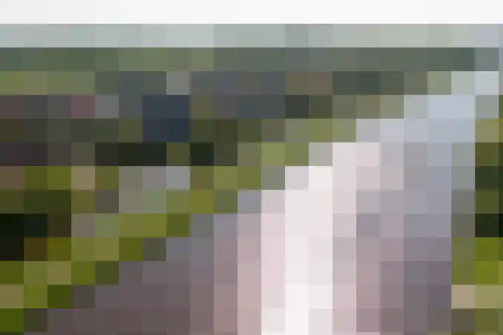 Nijlânsdyk 97 Leeuwarden thumbnail 33