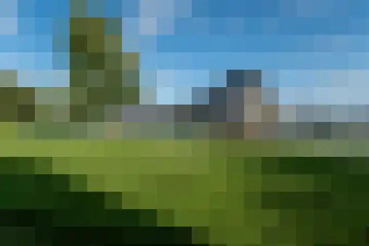 Nijlânsdyk 97 Leeuwarden thumbnail 37