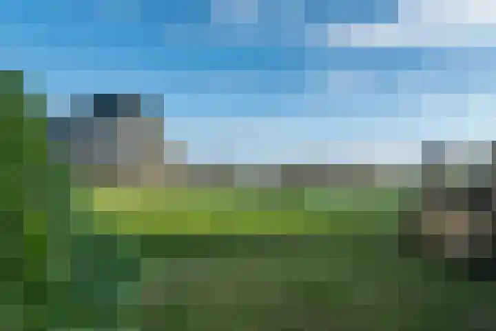 Nijlânsdyk 97 Leeuwarden thumbnail 38