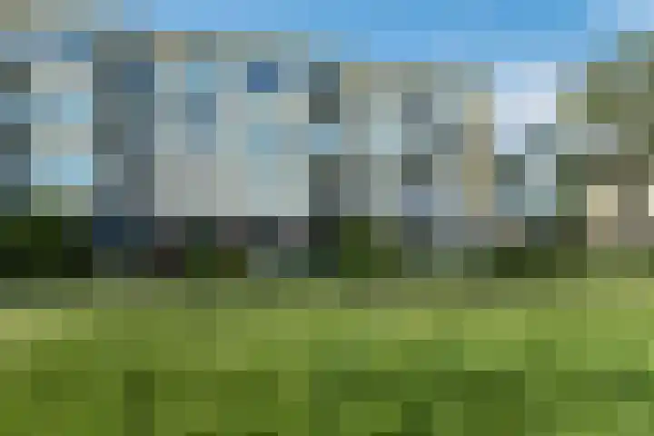 Nijlânsdyk 97 Leeuwarden thumbnail 8