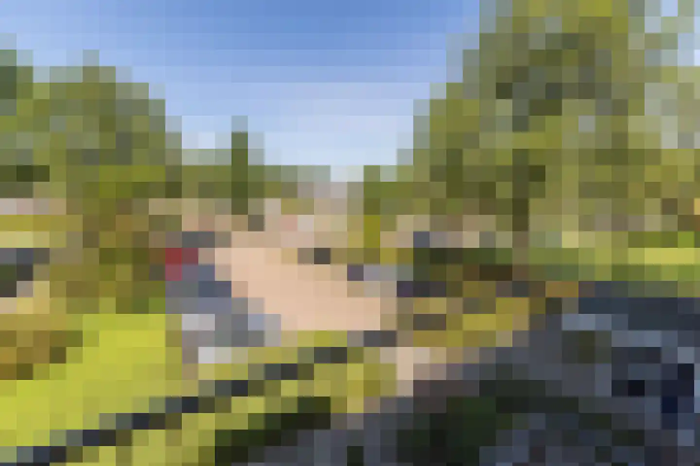 Nijlânsdyk 99 c Leeuwarden thumbnail 5
