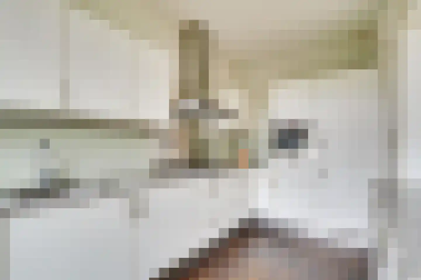 Nijldreef 12 Utrecht thumbnail 12