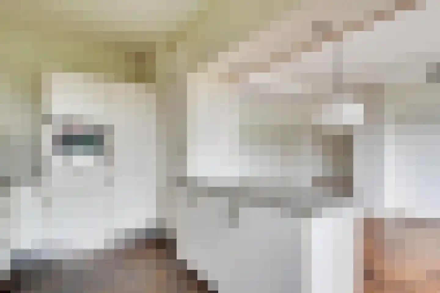 Nijldreef 12 Utrecht thumbnail 13