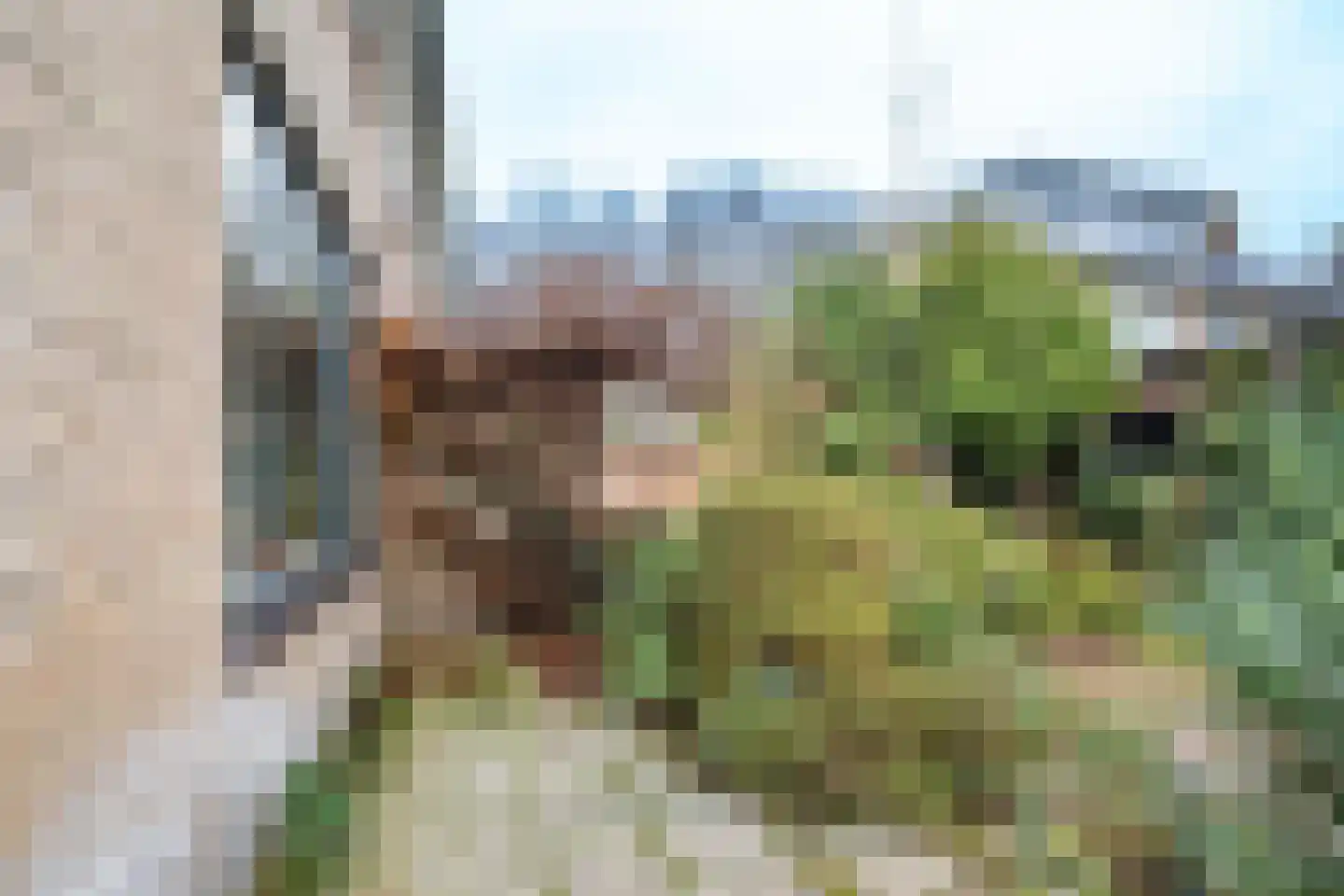 Nijldreef 12 Utrecht thumbnail 49