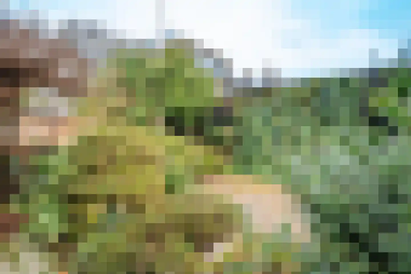 Nijldreef 12 Utrecht thumbnail 50