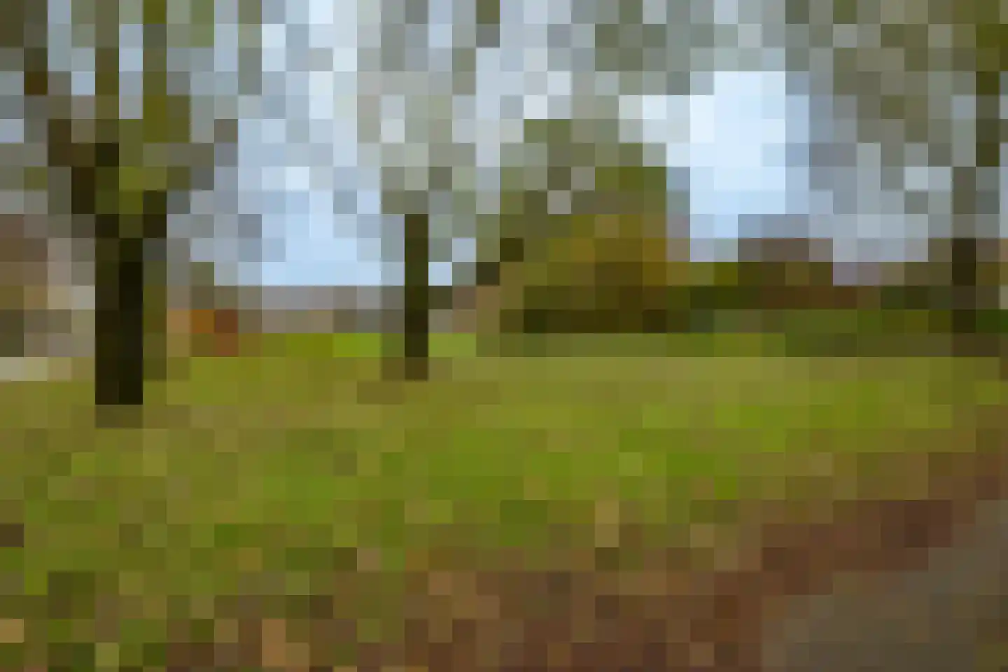 Nijldreef 12 Utrecht thumbnail 58
