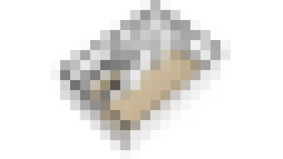 Nijldreef 12 Utrecht thumbnail 60