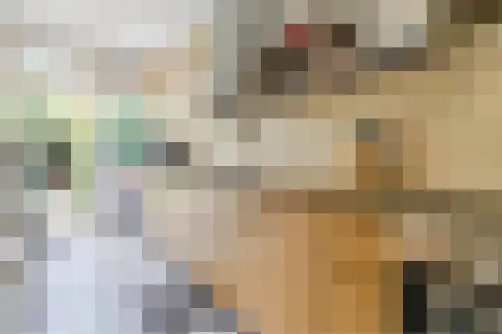 Nijldreef 16 Utrecht thumbnail 12
