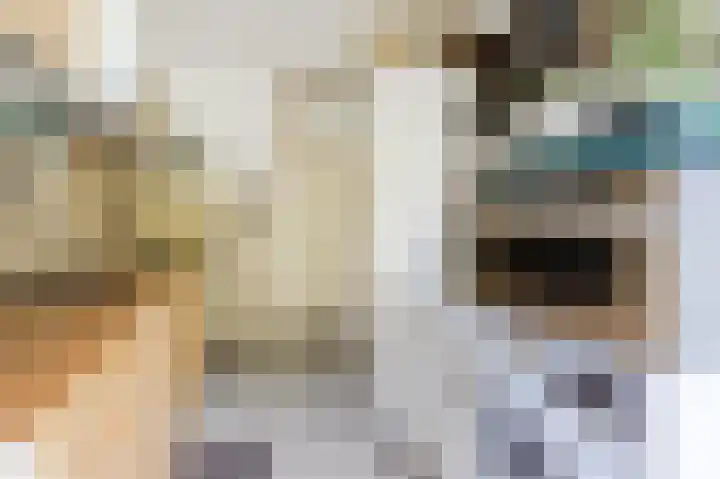 Nijldreef 16 Utrecht thumbnail 13
