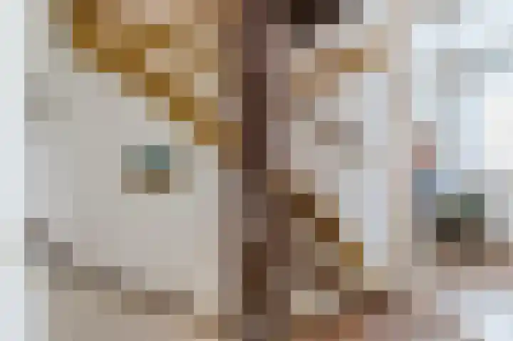 Nijldreef 16 Utrecht thumbnail 22