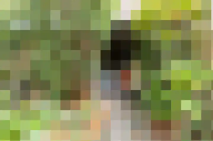 Nijldreef 16 Utrecht thumbnail 29