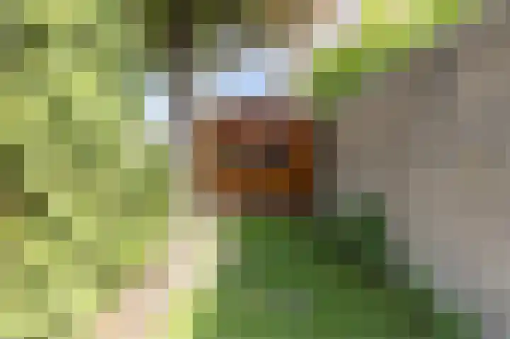 Nijldreef 16 Utrecht thumbnail 31