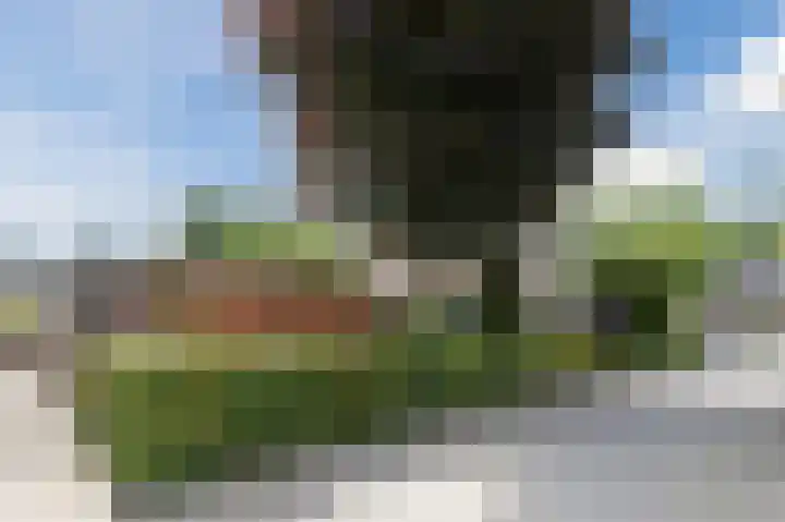 Nijldreef 16 Utrecht thumbnail 34