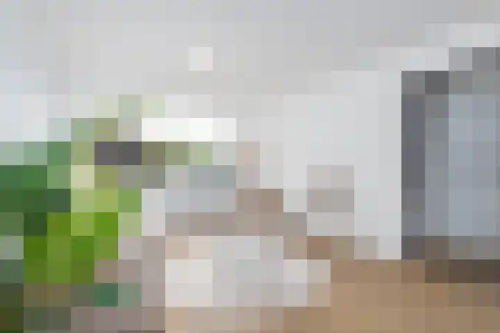 Nijldreef 35 Utrecht thumbnail 4