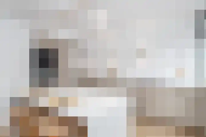 Nijldreef 35 Utrecht thumbnail 9