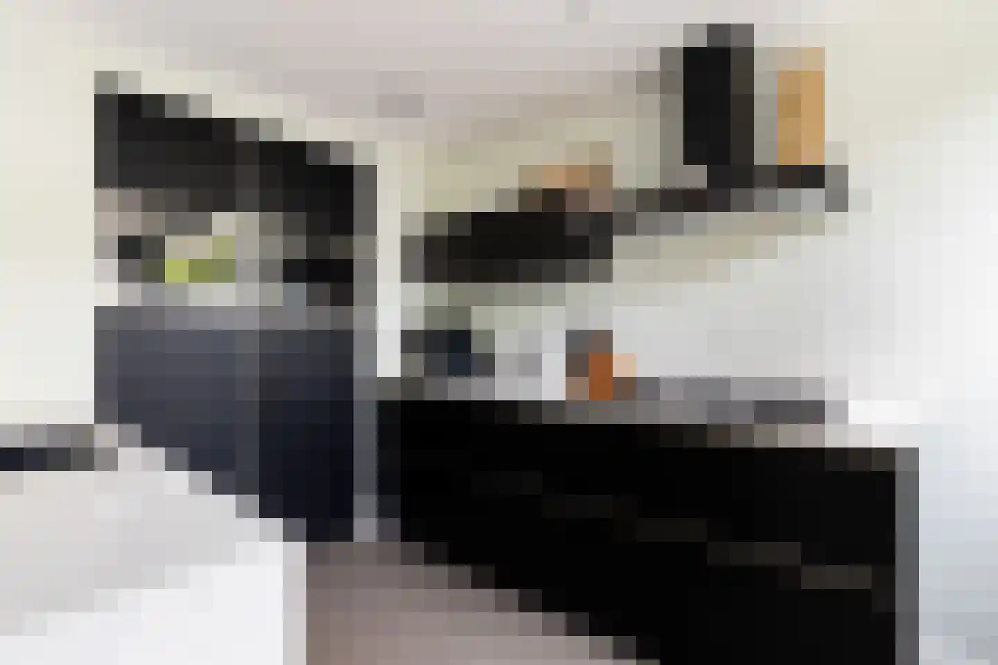 Nijldreef 45 Utrecht thumbnail 13
