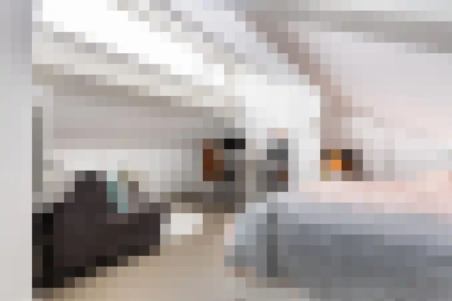 Nijldreef 45 Utrecht thumbnail 25