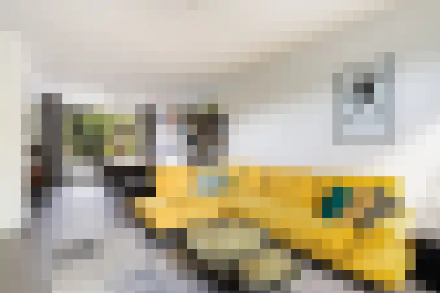 Nijldreef 45 Utrecht thumbnail 9