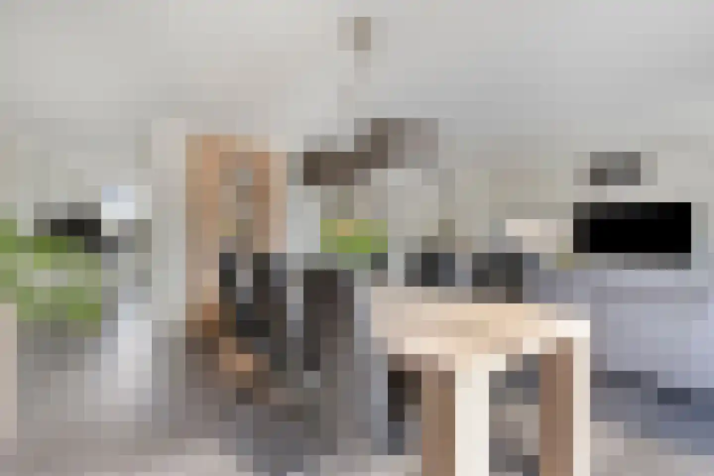 Nijlkrokodil 11 Heerhugowaard thumbnail 10