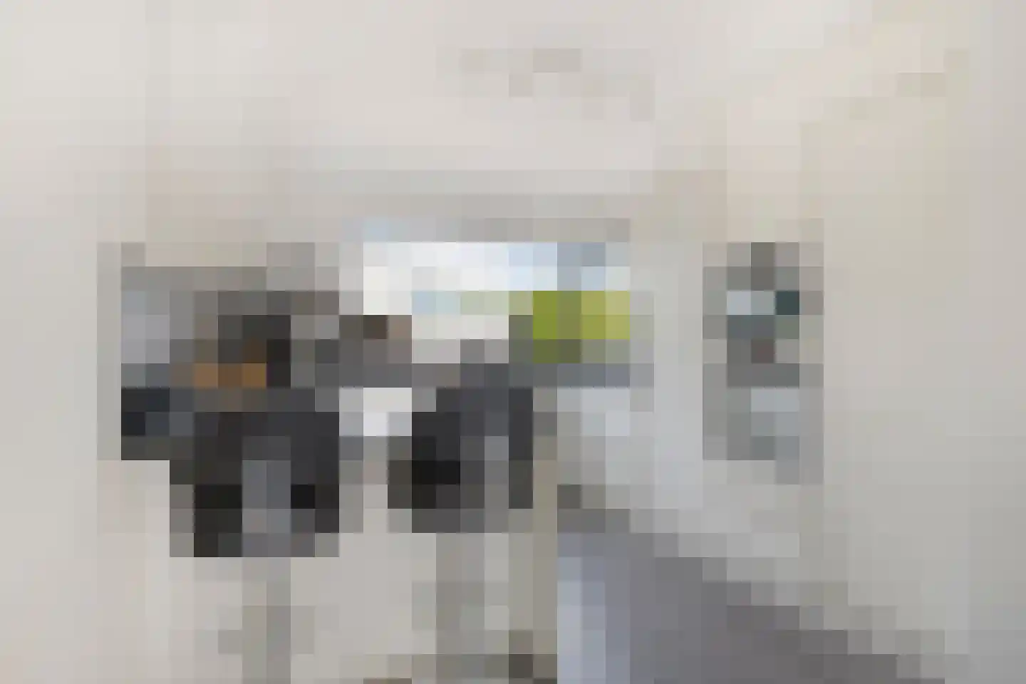 Nijlkrokodil 11 Heerhugowaard thumbnail 11