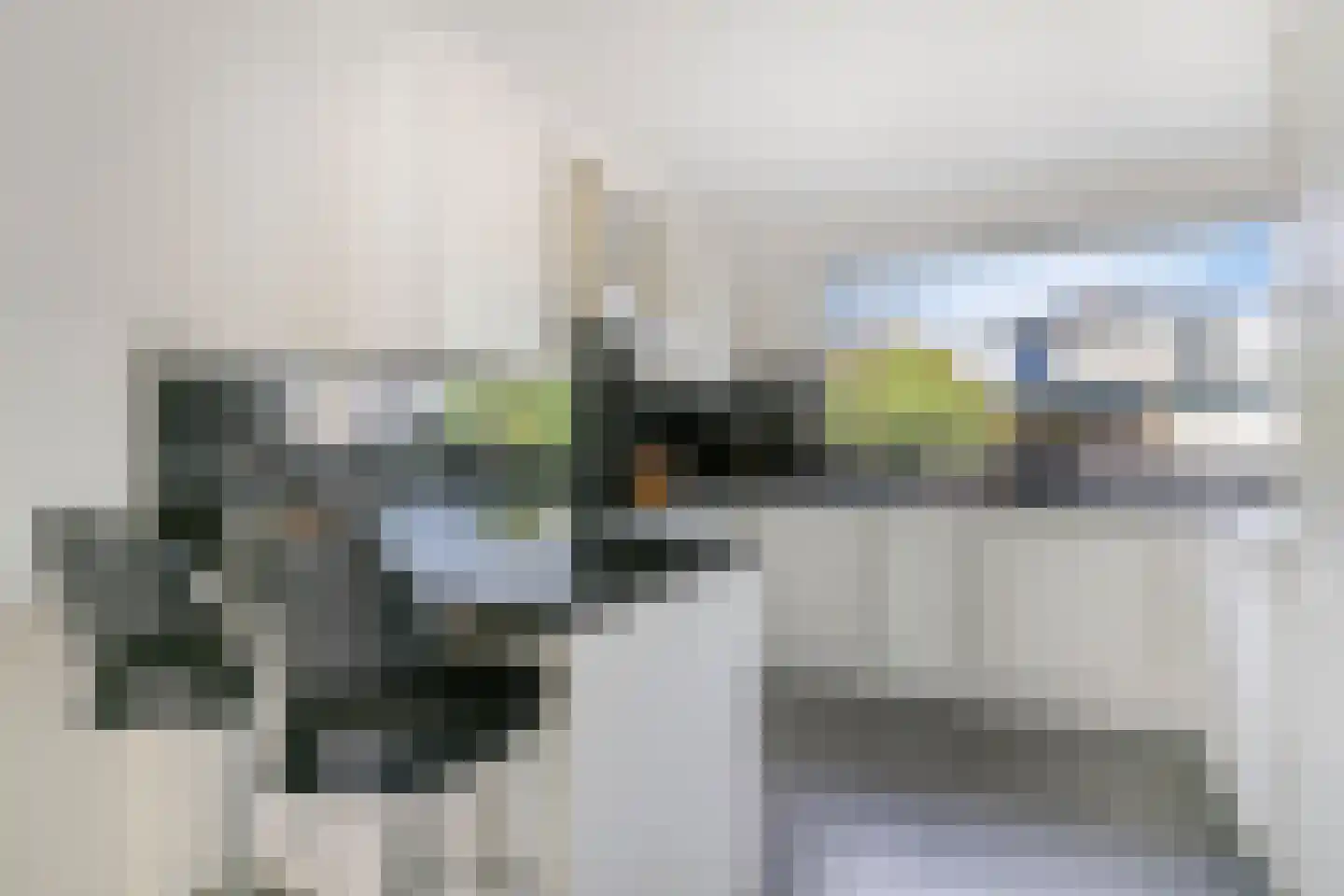 Nijlkrokodil 11 Heerhugowaard thumbnail 12