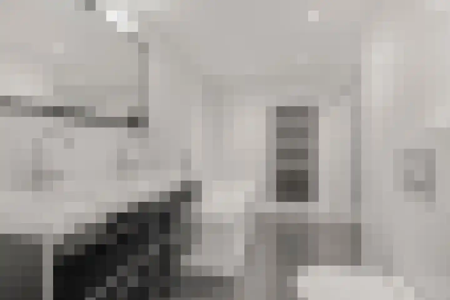 Nijlkrokodil 11 Heerhugowaard thumbnail 20