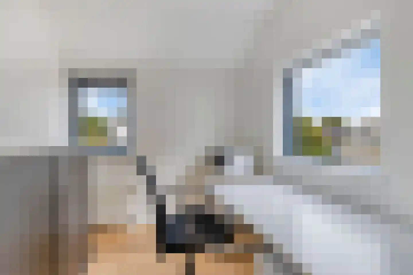 Nijlkrokodil 11 Heerhugowaard thumbnail 25