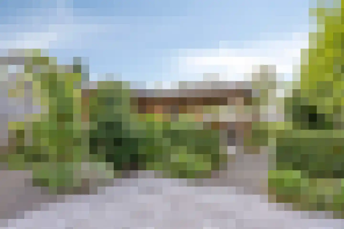 Nijlkrokodil 11 Heerhugowaard thumbnail 33