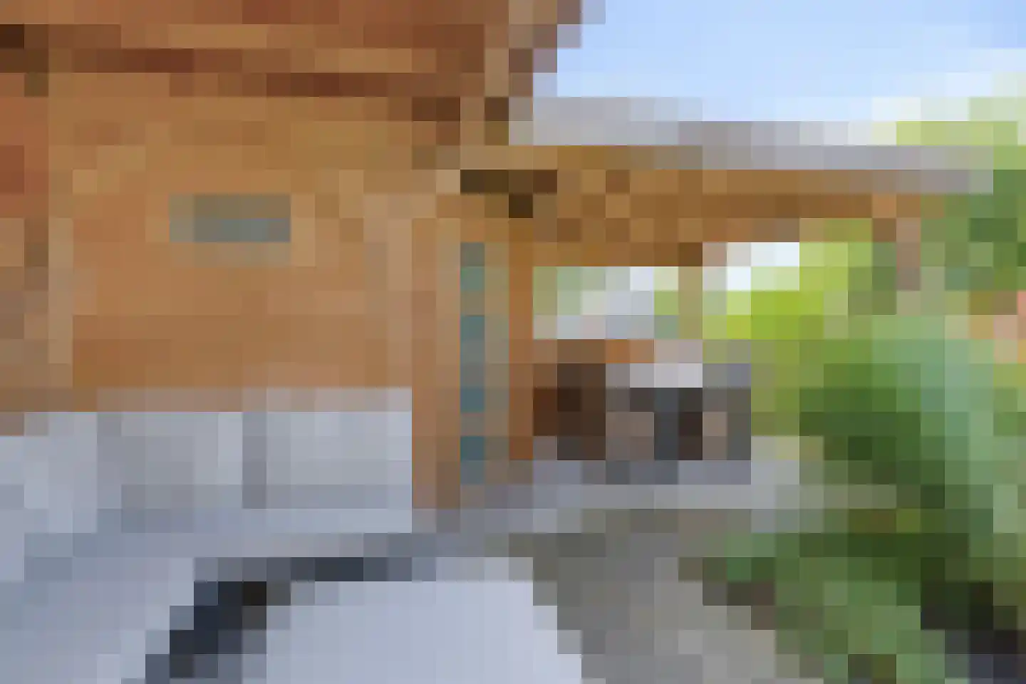 Nijlkrokodil 11 Heerhugowaard thumbnail 34