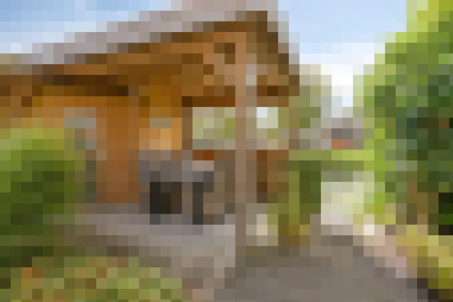 Nijlkrokodil 11 Heerhugowaard thumbnail 35