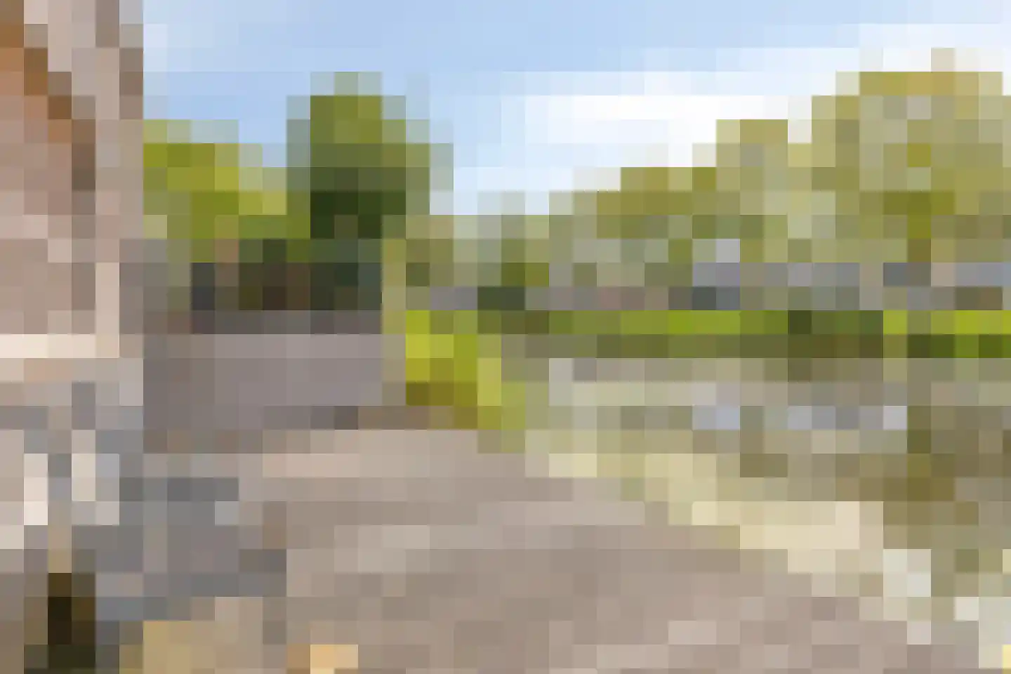 Nijlkrokodil 11 Heerhugowaard thumbnail 37