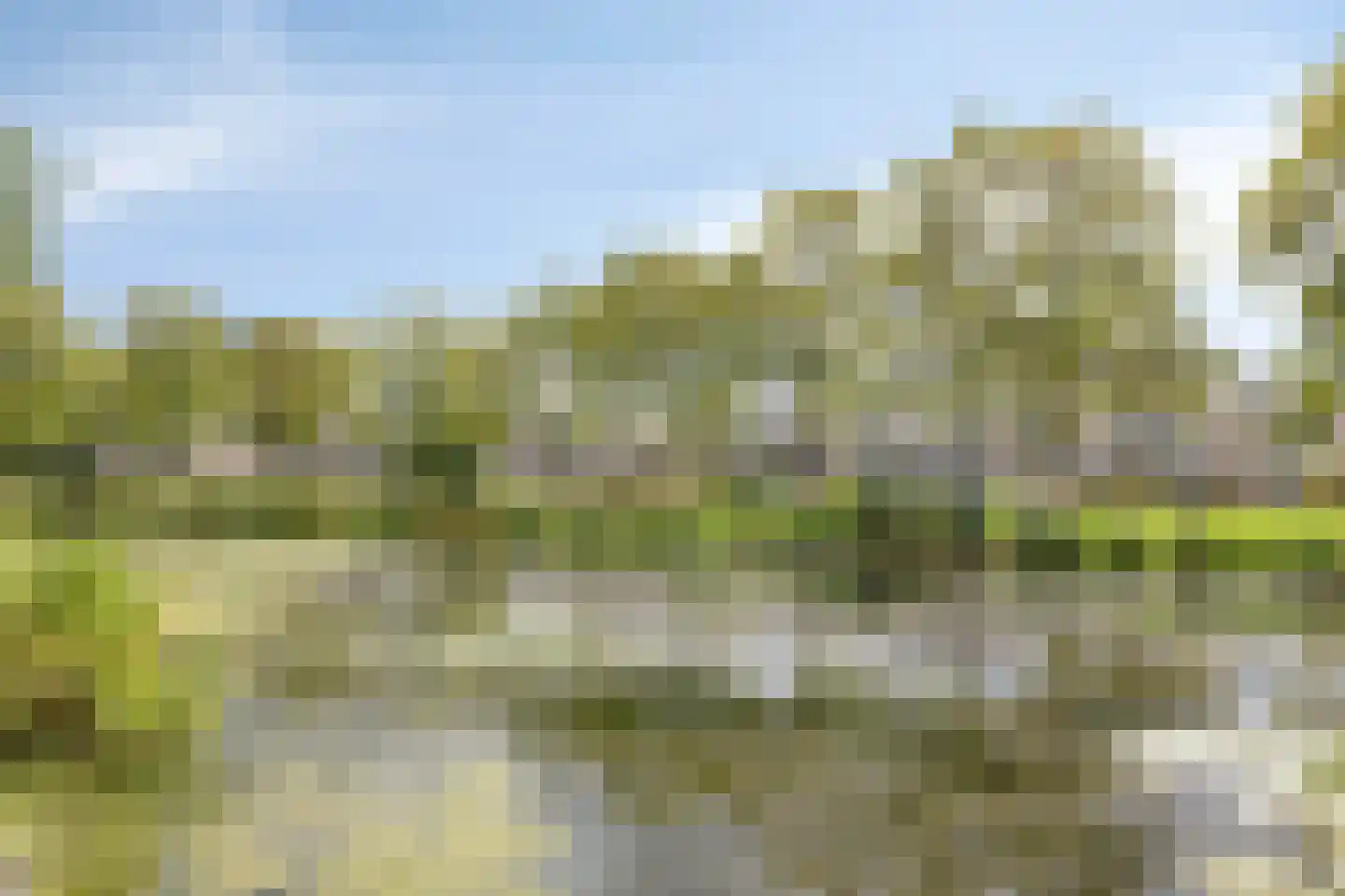 Nijlkrokodil 11 Heerhugowaard thumbnail 38