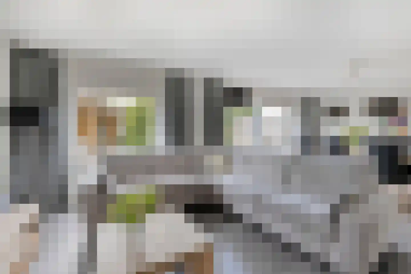 Nijlkrokodil 11 Heerhugowaard thumbnail 4