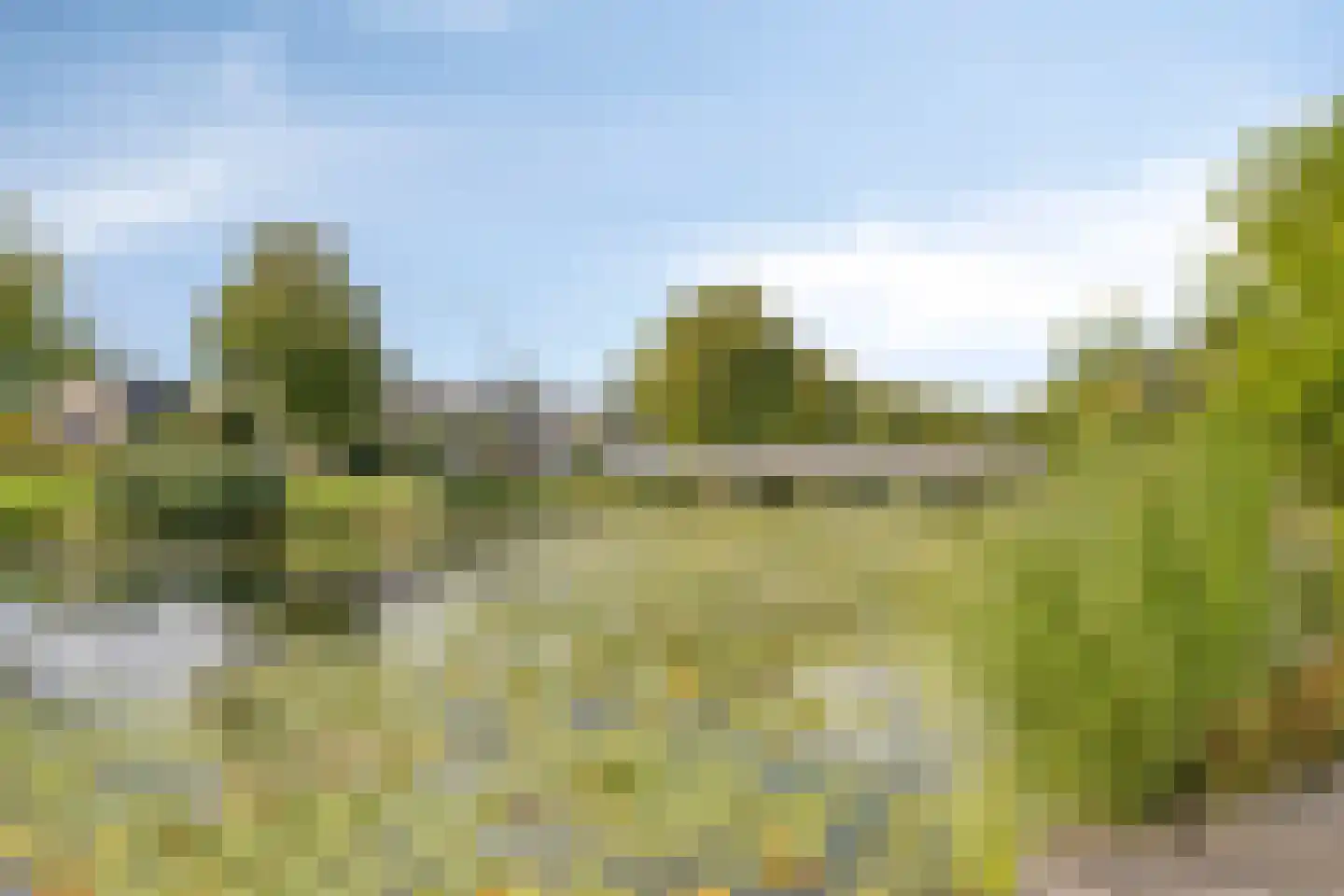 Nijlkrokodil 11 Heerhugowaard thumbnail 40