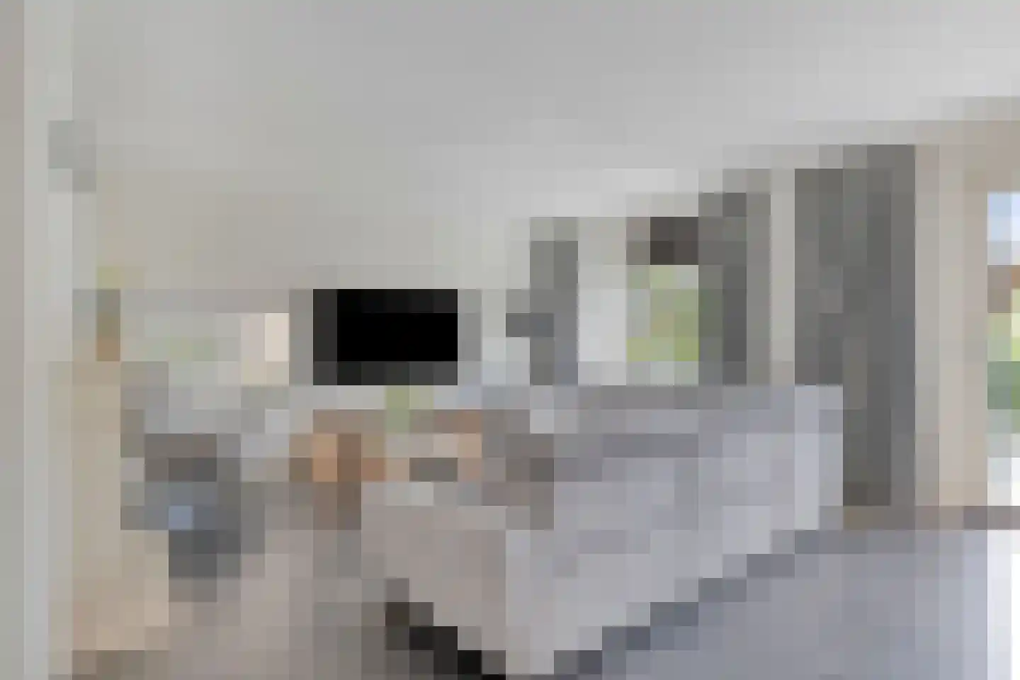 Nijlkrokodil 11 Heerhugowaard thumbnail 5