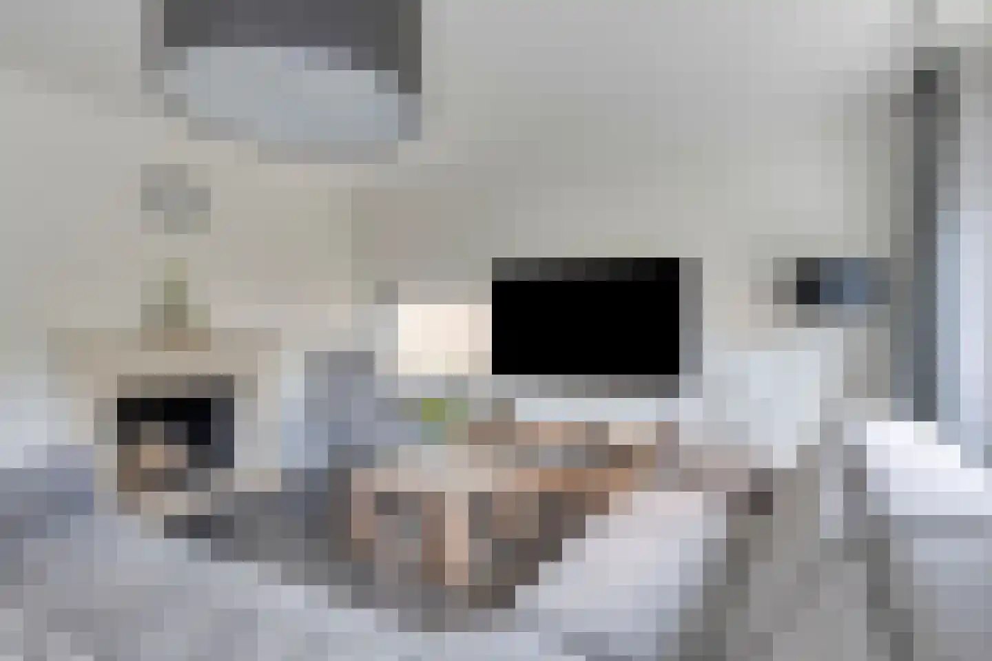 Nijlkrokodil 11 Heerhugowaard thumbnail 7