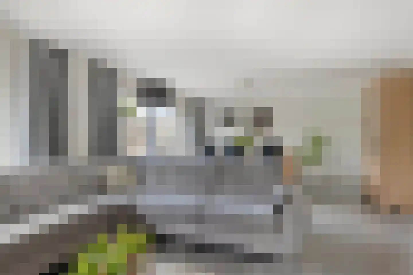 Nijlkrokodil 11 Heerhugowaard thumbnail 8