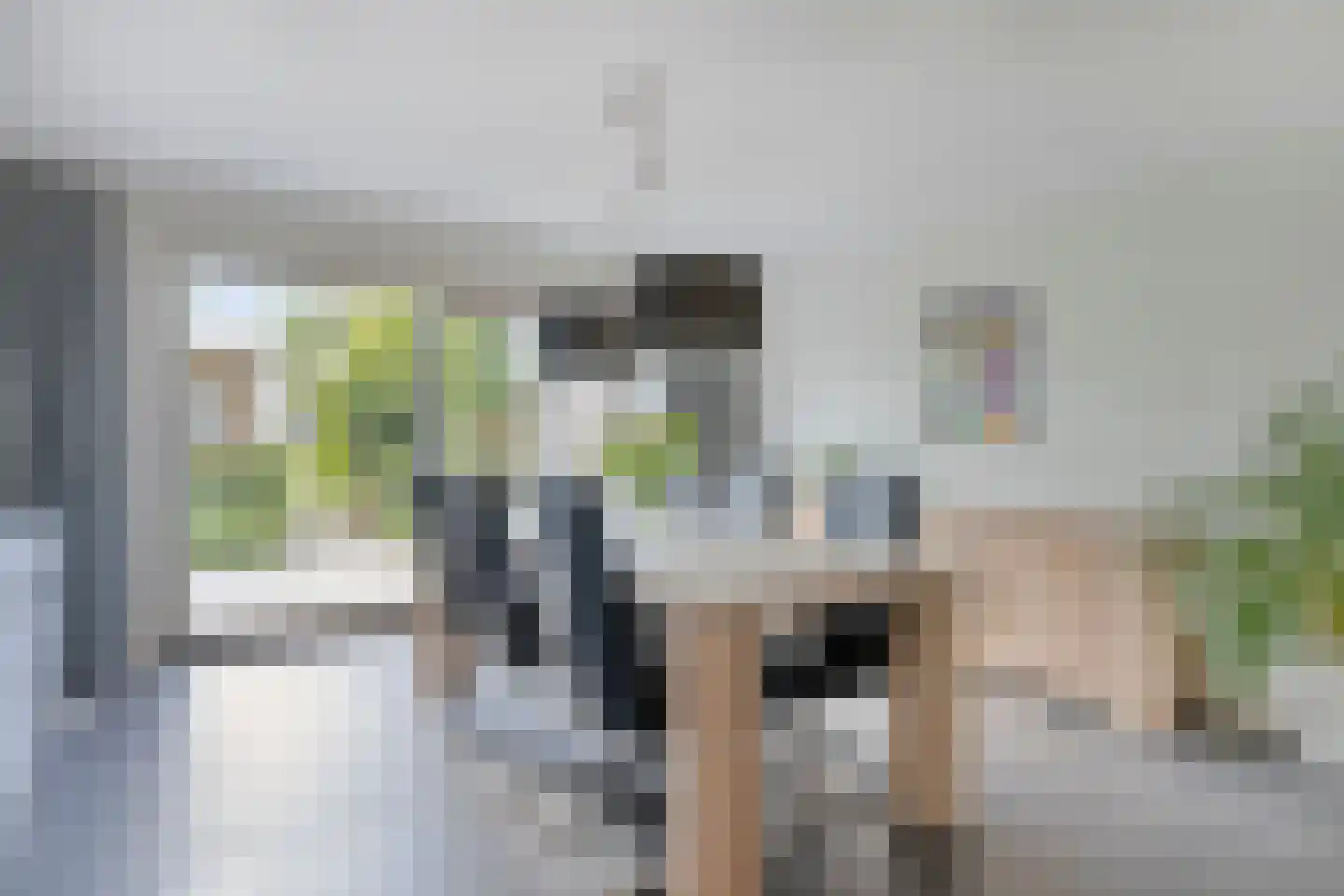 Nijlkrokodil 11 Heerhugowaard thumbnail 9