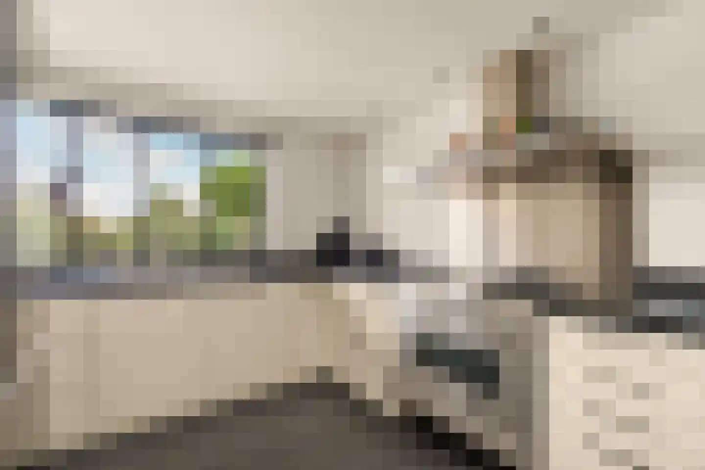 Nijlkrokodil 33 Heerhugowaard thumbnail 11