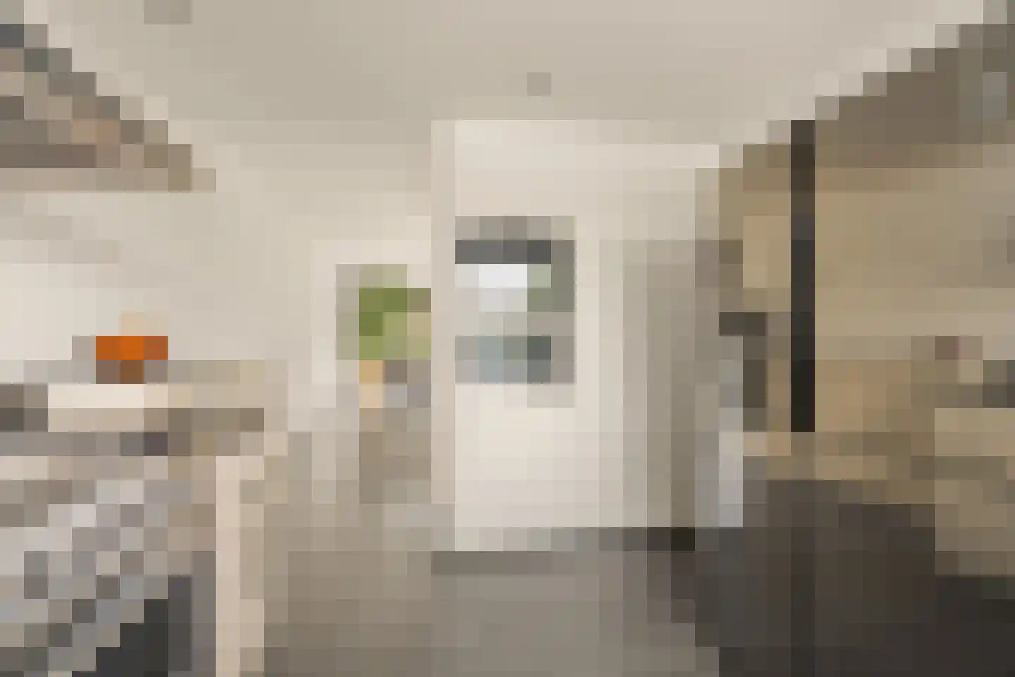 Nijlkrokodil 33 Heerhugowaard thumbnail 12