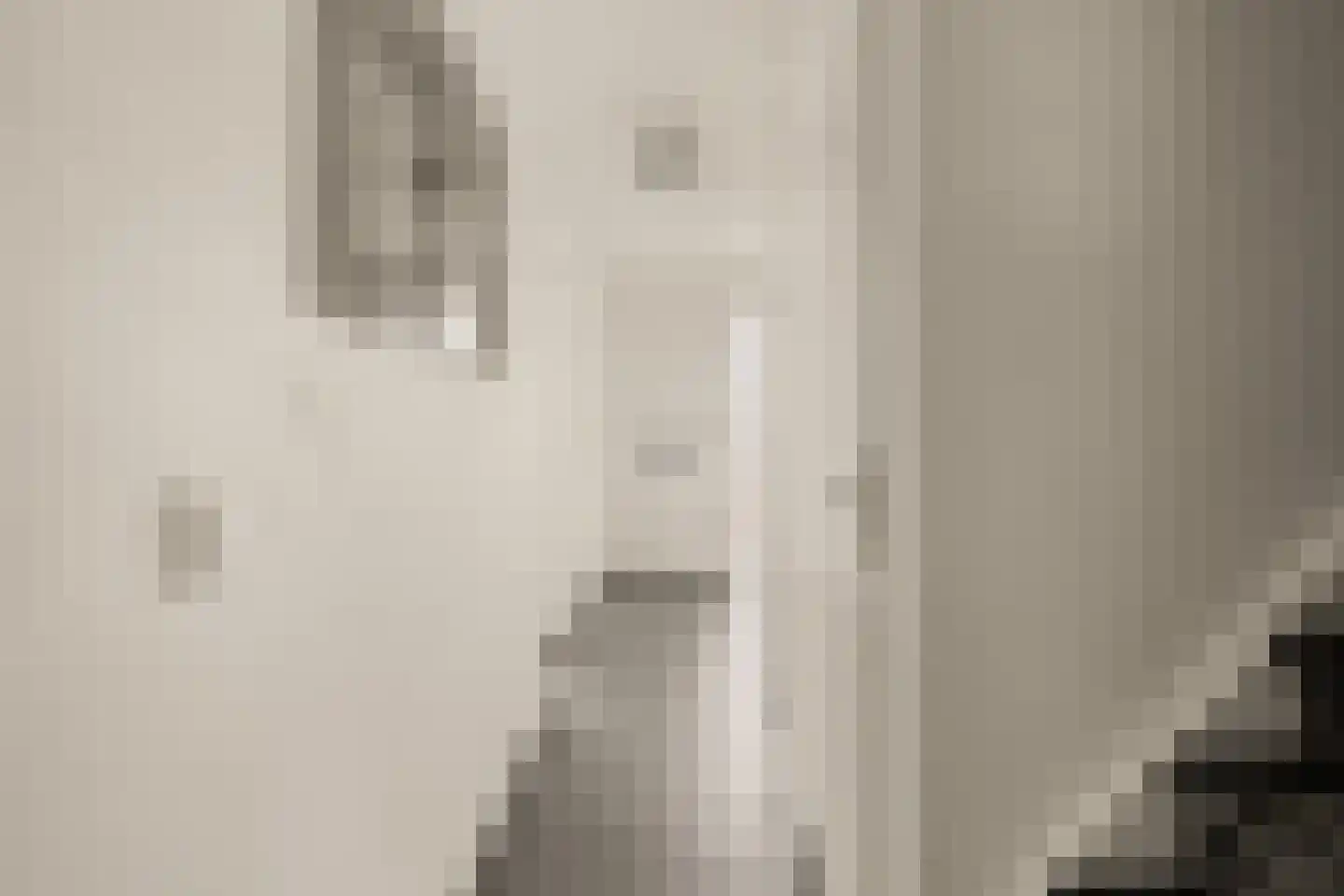Nijlkrokodil 33 Heerhugowaard thumbnail 13