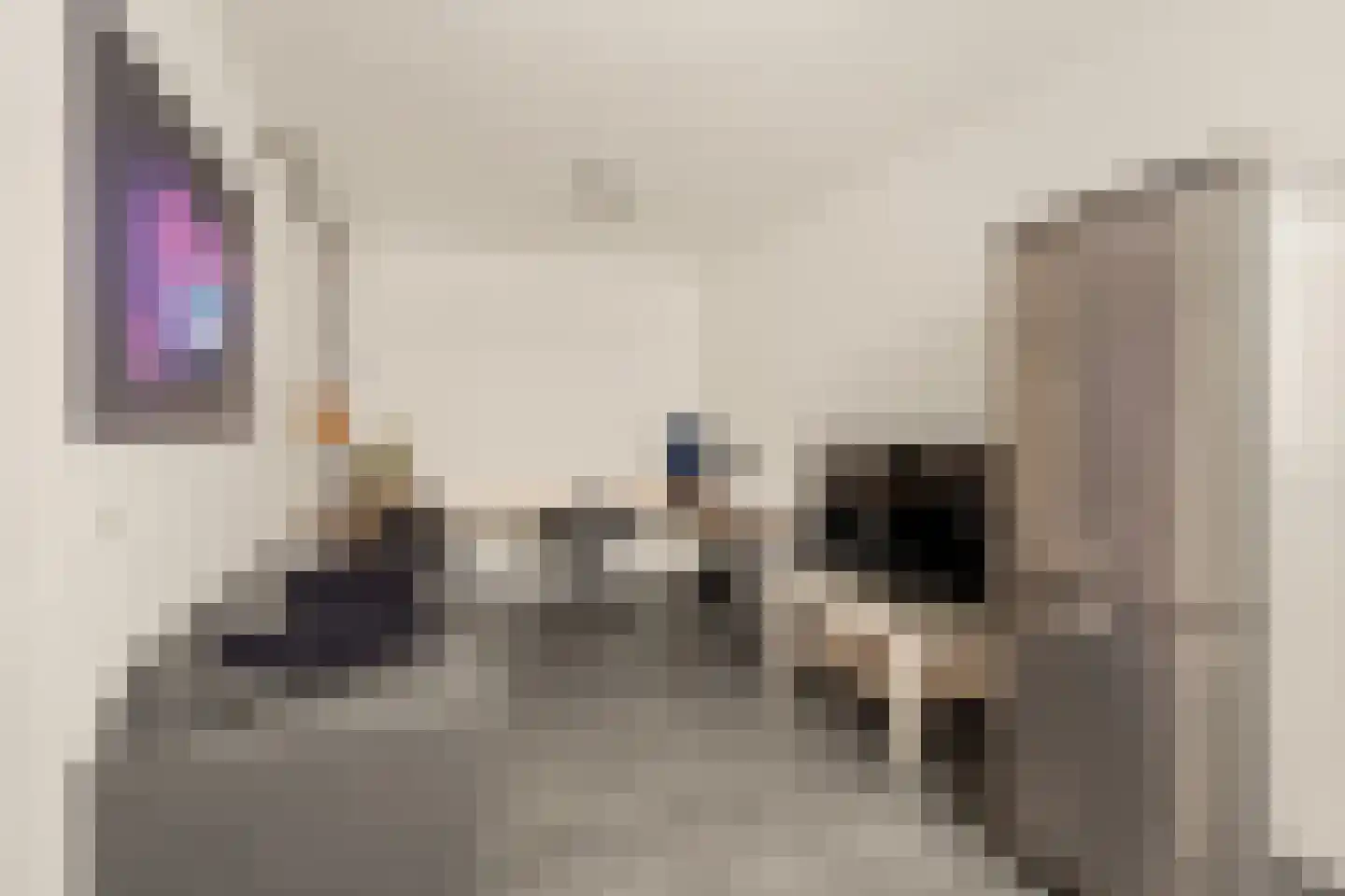 Nijlkrokodil 33 Heerhugowaard thumbnail 16
