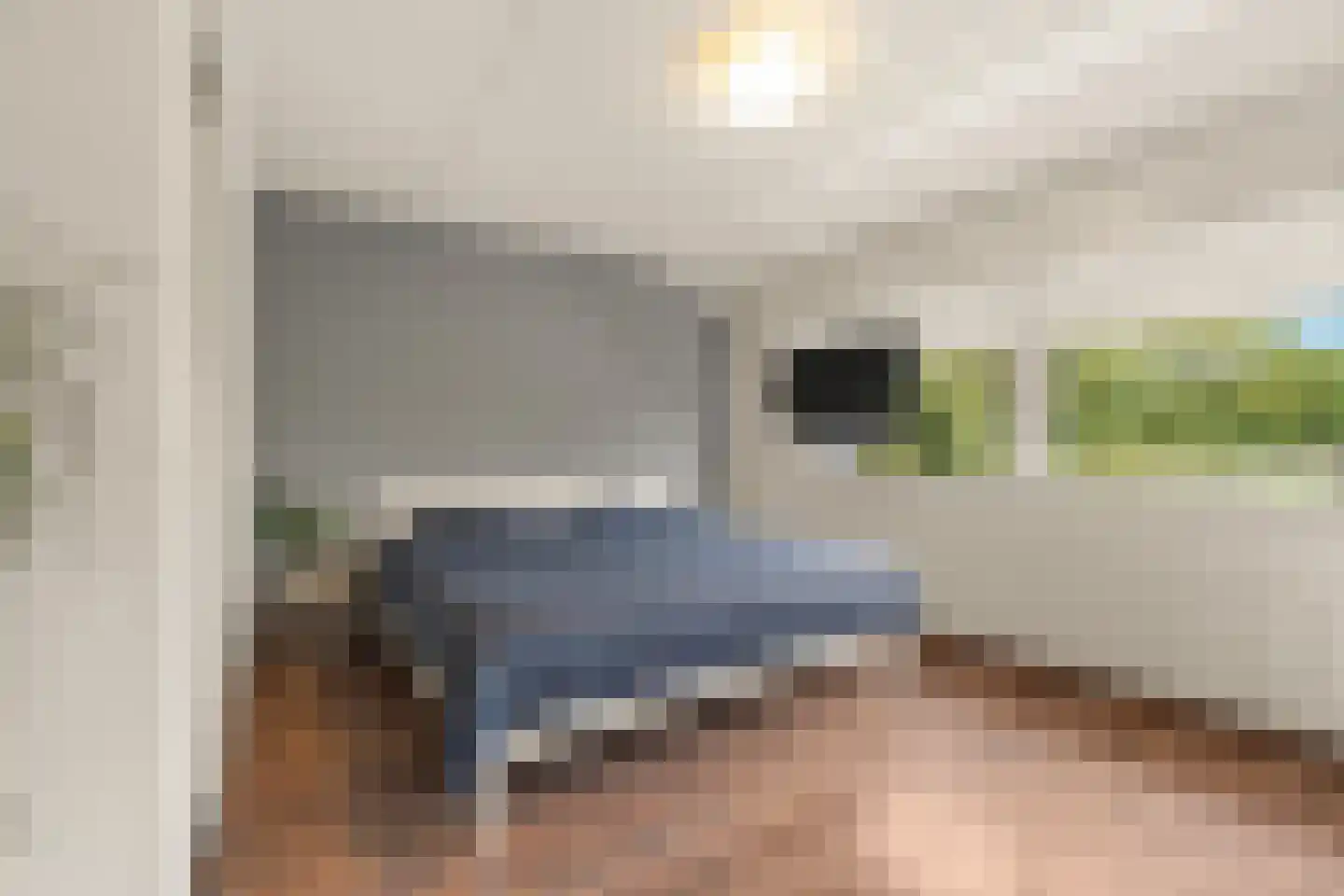 Nijlkrokodil 33 Heerhugowaard thumbnail 21