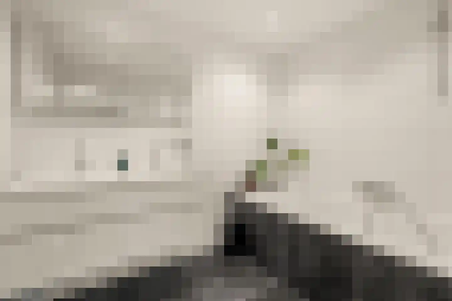 Nijlkrokodil 33 Heerhugowaard thumbnail 23