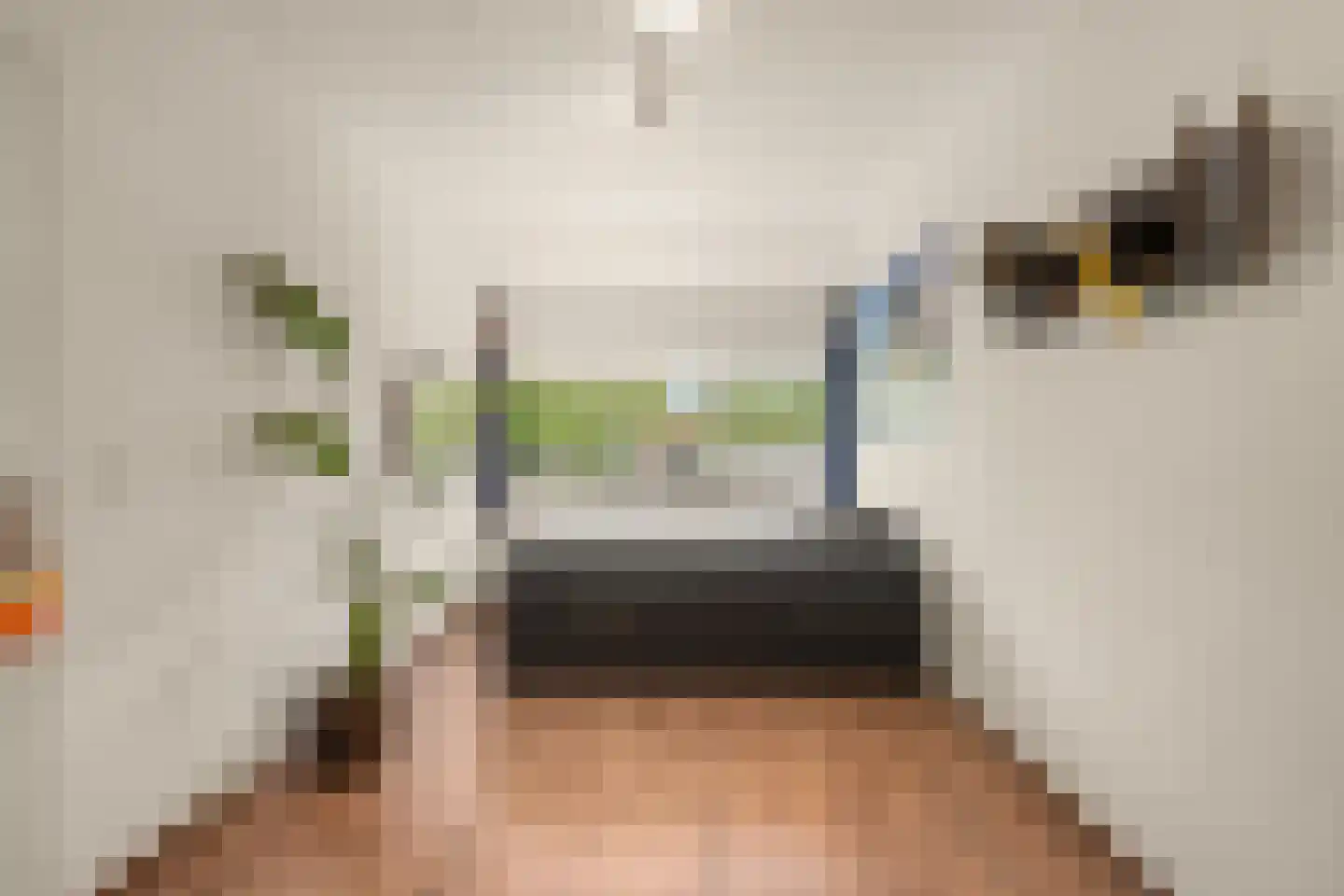 Nijlkrokodil 33 Heerhugowaard thumbnail 26